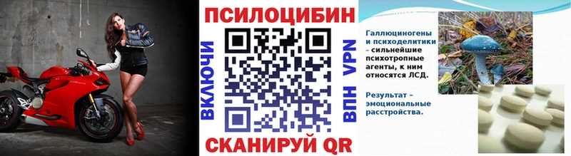 Псилоцибиновые грибы Cubensis  Городовиковск 