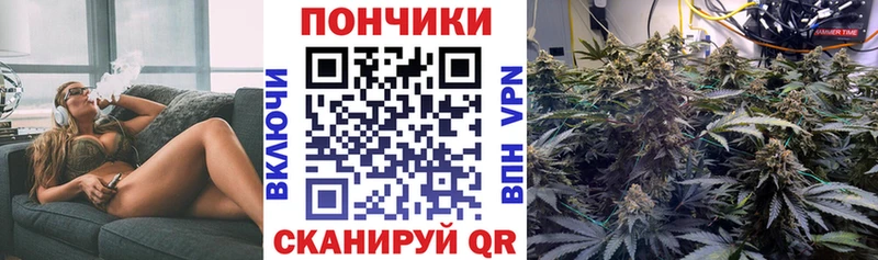 Бошки Шишки VHQ  купить  цена  Городовиковск 